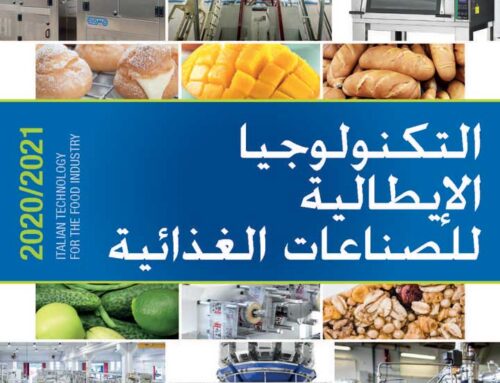 Arabic Edition 2020